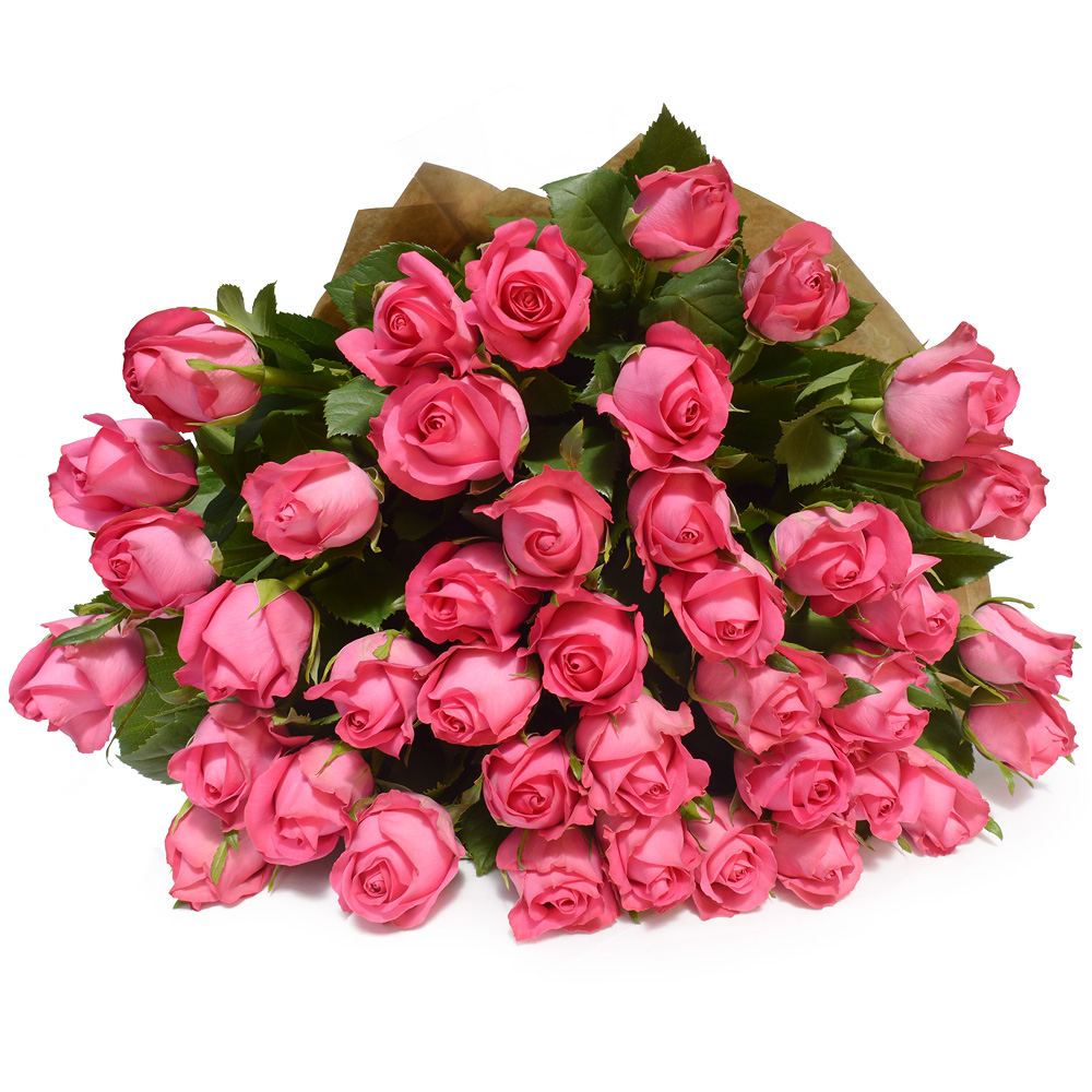 Pink Roses