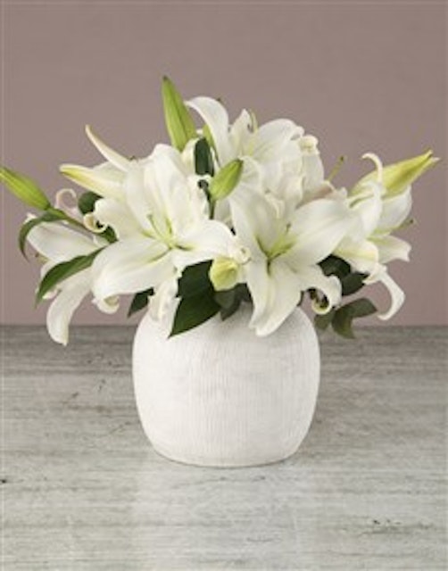 Lilies